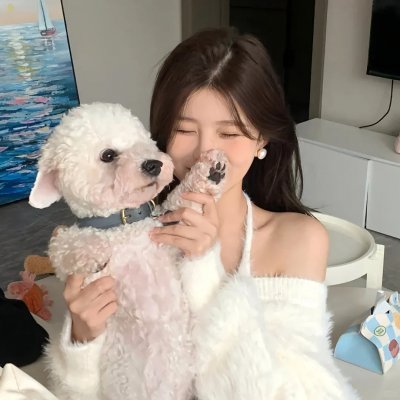 追爱家族